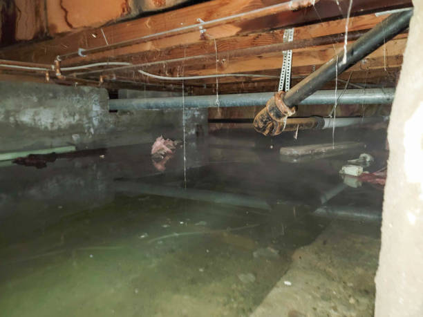 Best Water damage restoration near me  in Georgetown, CT