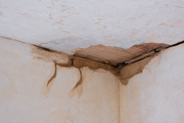 Best Basement water damage restoration  in Georgetown, CT