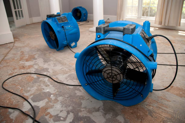 Best Sewage cleanup and water damage restoration  in Georgetown, CT
