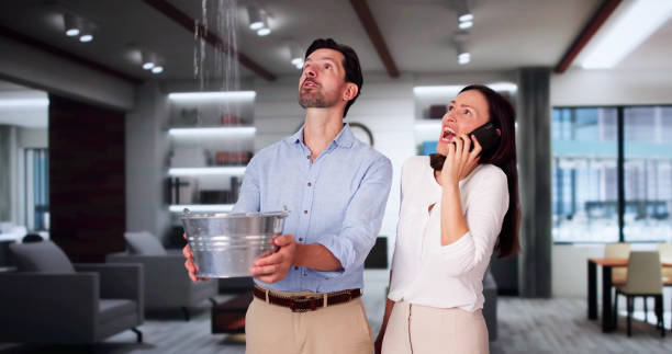 Best Fire Damage Restoration  in Georgetown, CT